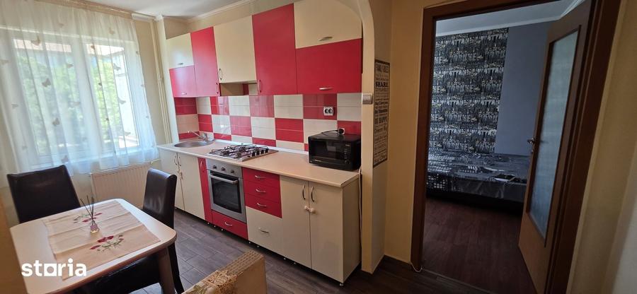 Apartament cu 2 camere decomandat în Nufărul