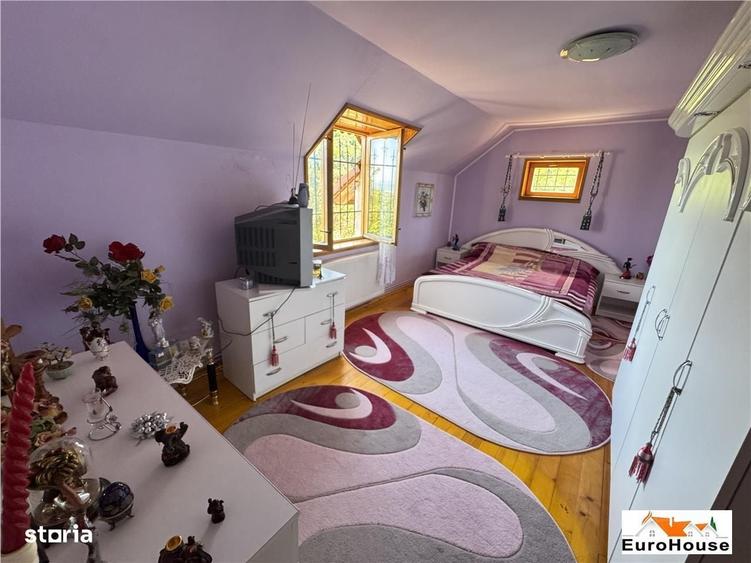 Proprietate deosebita de vanzare in Alba Iulia - 12
