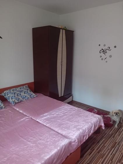 Apartament cu 2 camere decomandat în Berca