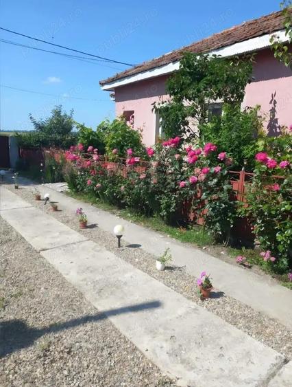 Casa de Vanzare in Osica de Sus - 4