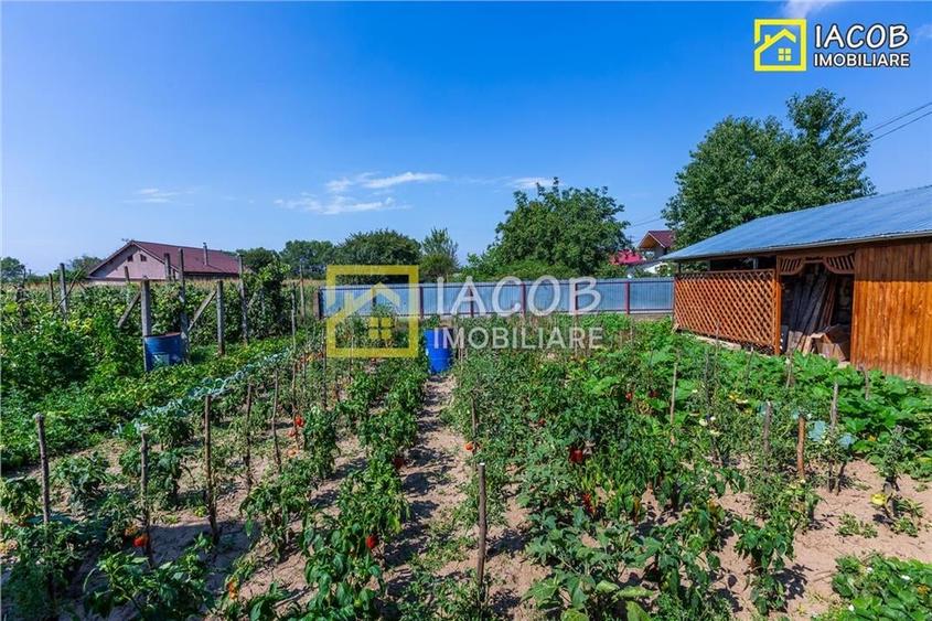 Vila P si 1E,  teren 1000 mp, loc. Dumbrava, jud Bacau - 13