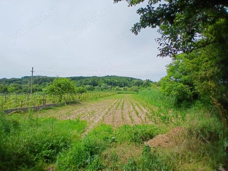 Casa cu teren ?i Anexe - 3