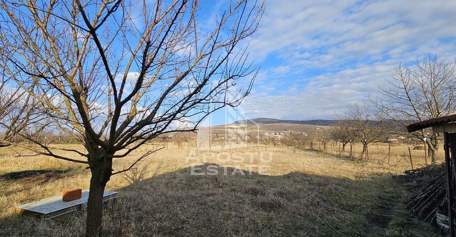 Vila de vanzare in Ghioroc - 3