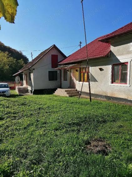Casa de vanzare + teren si padure - 4