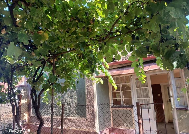 RECO Casa de in Fegernic cu 2541mp teren - 7