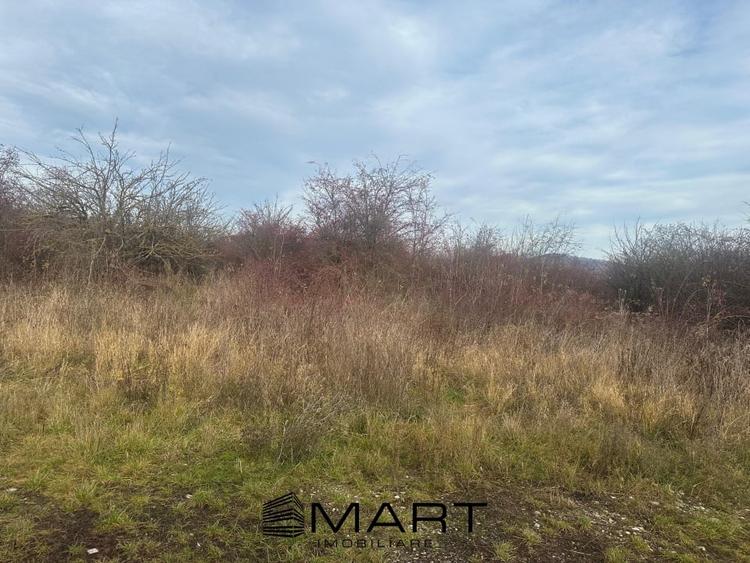 Teren Intravilan 1105 mp Sanpetru - 4