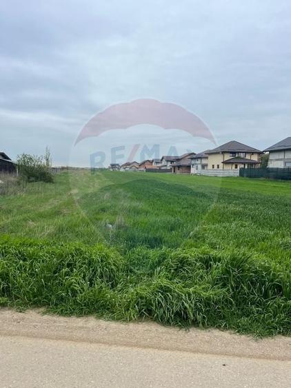 Teren intravilan de 3.168 mp, Cosoba, Giurgiu - 2