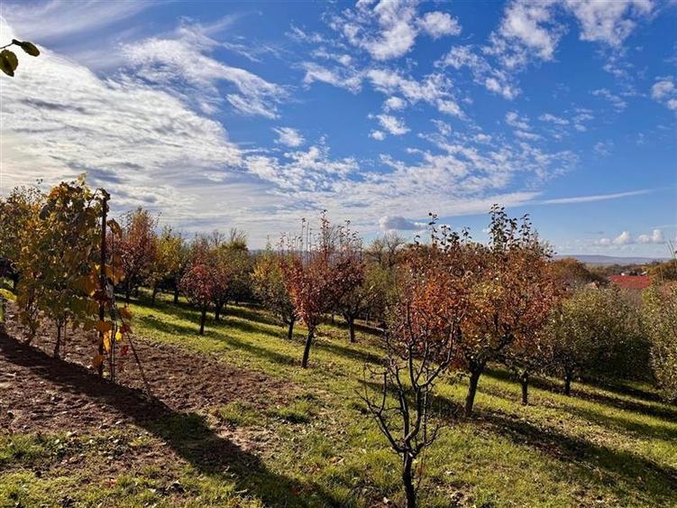 Proprietatea deosebita cu 4000mp teren, Barnova - 10