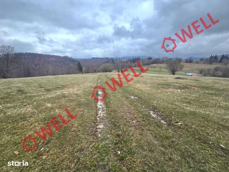 2 terenuri extravilane, Vama Buzaului,zona denumita ,,LENIEE,,! - 6