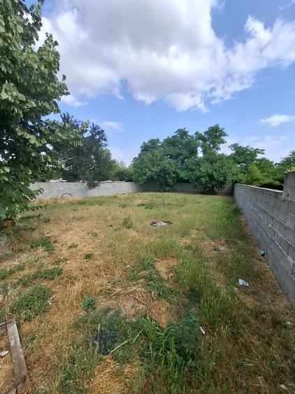 Casa de vanzare Botarlau - 14