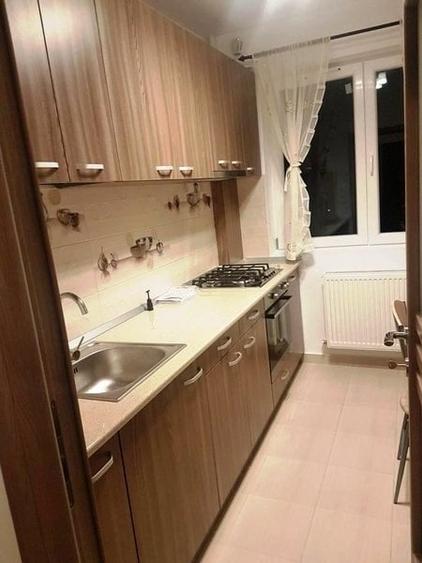 Dristor- Camil Ressu - 4