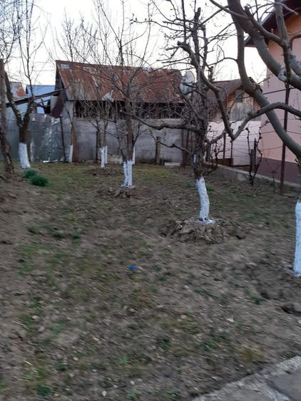 Casa si teren Buhea de Jos, Prahova - 1