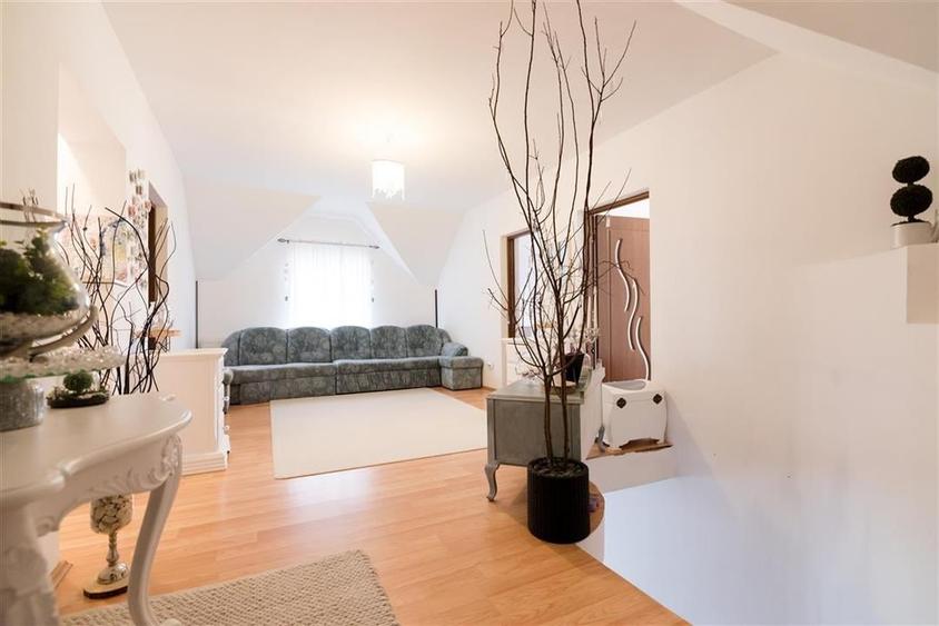 RECO Vila str. Apateului - 10