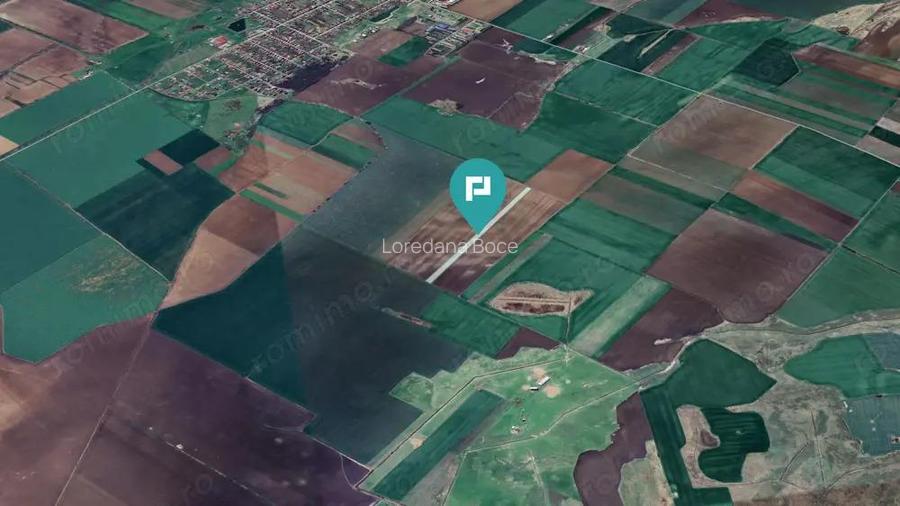 Teren 30.000 mp la drum asfaltat Peciu Nou Teren 30.000 mp la drum asfaltat Peciu Nou