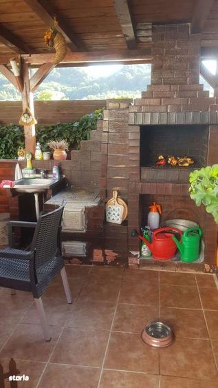 Vila eleganta in Vladesti locatie linistita, la 7 km de oras - 8