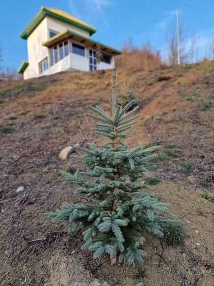 Casa de vacanta schimb - 5