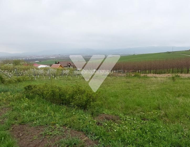 Investitie - Teren intravilan 536 mp Sura Mare ideal construcții
