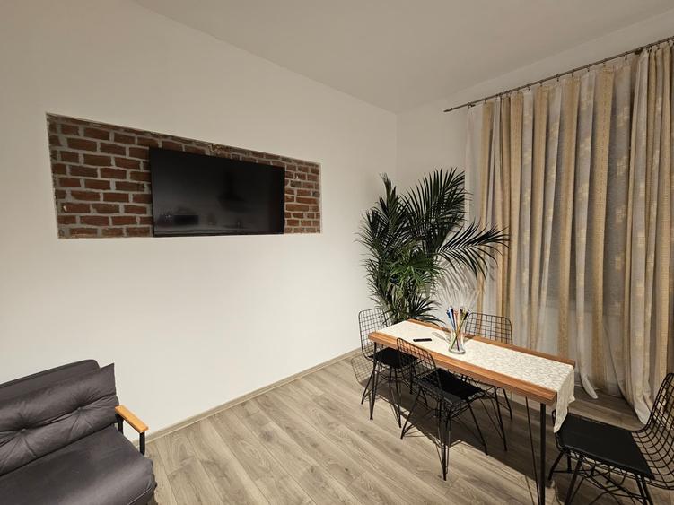 Casă individuală deosebită, P+D, Timișoara, zona Lipovei, aproape de Iulius Mall - 10