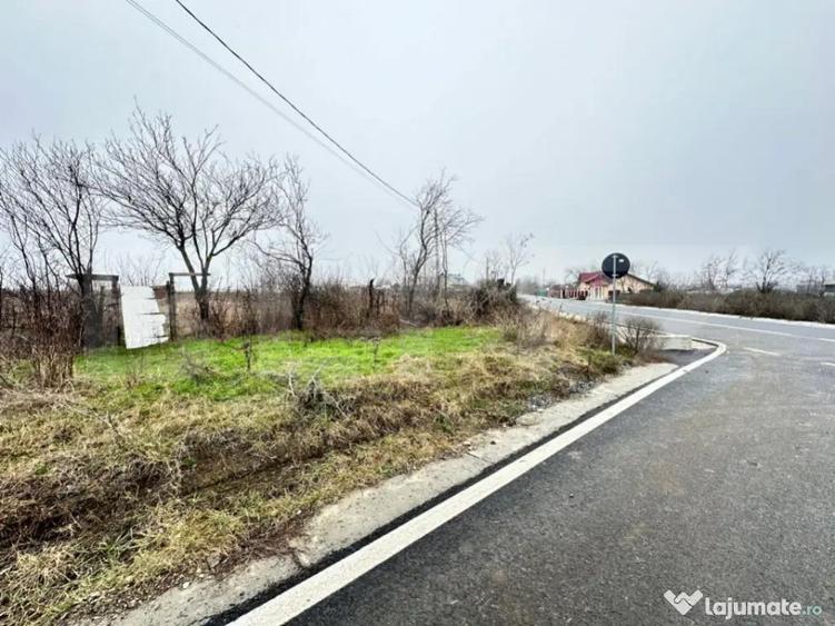 Teren de vanzare, 7200 mp, parcelabil, zona Bogdanesti - 2