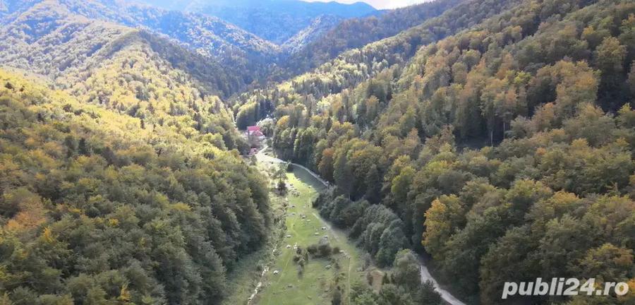 Locatie pentru activitati festive - 5