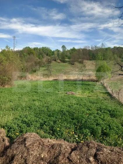 Teren intravilan/extravilan - 5