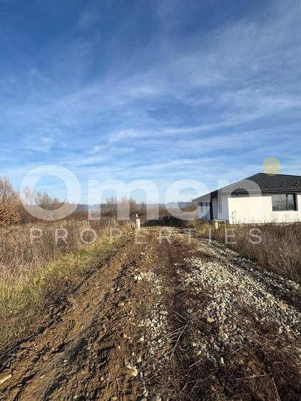 Teren de vânzare 8,9 ari + cotă parte drum – proiect duplex aprobat - 2