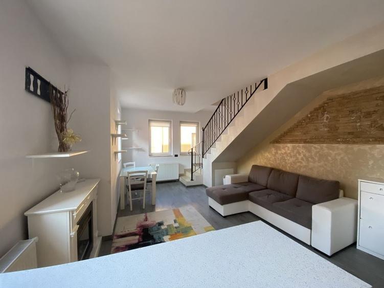 Cochet la intrare in Dumbravita - 23