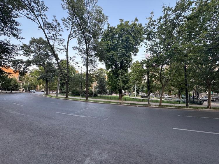 Vand garsoniera 14mp Pache Protopopescu - 6