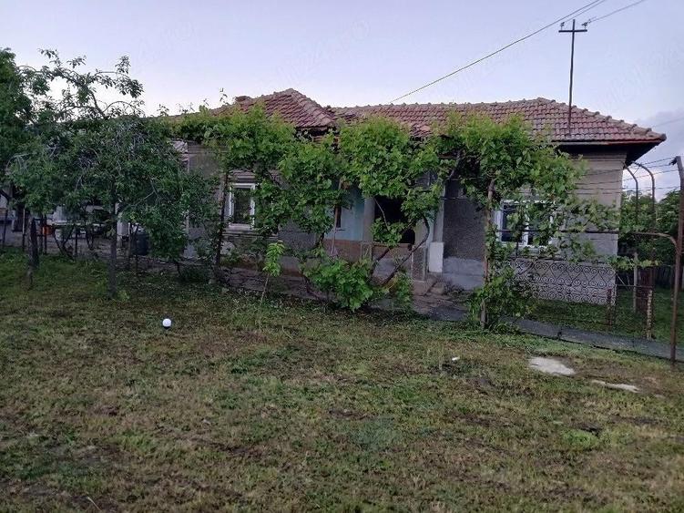 casa la tara sat Sili?tea com Vitane?ti jud Teleorman - 10
