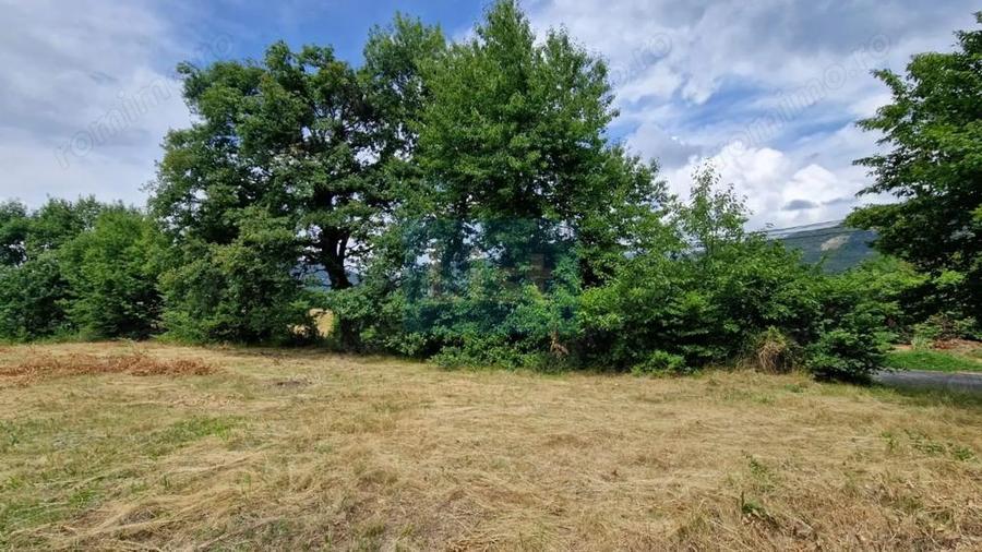 Teren 500 mp | Posibil extindere | Baia Sprie | Comision 0! - 3