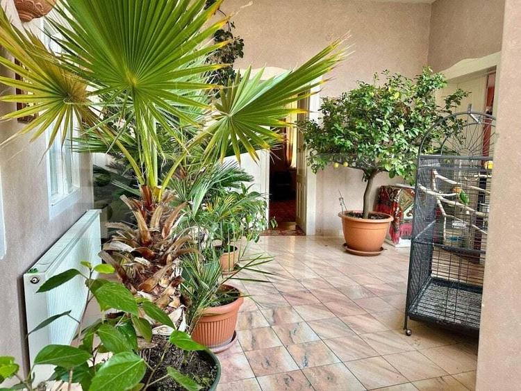 Casa spatioasa cu 5 camere, 210 mp, potrivita pentru locuin?a sau birouri - 10