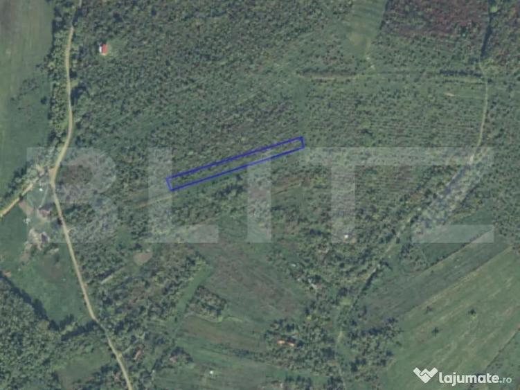 Teren intravilan de vanzare, 2697 mp, in Ardud Vii - 1