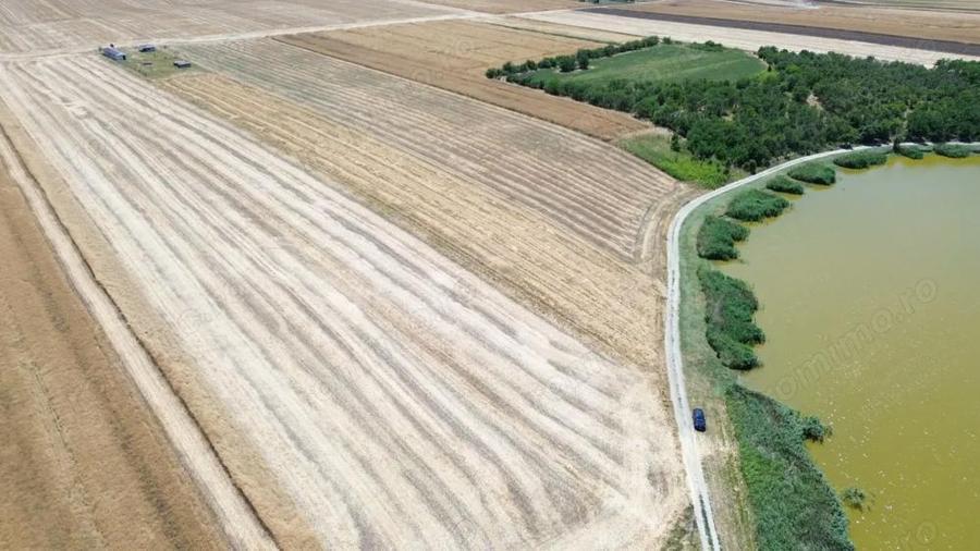 teren la lac Frumusani - 9