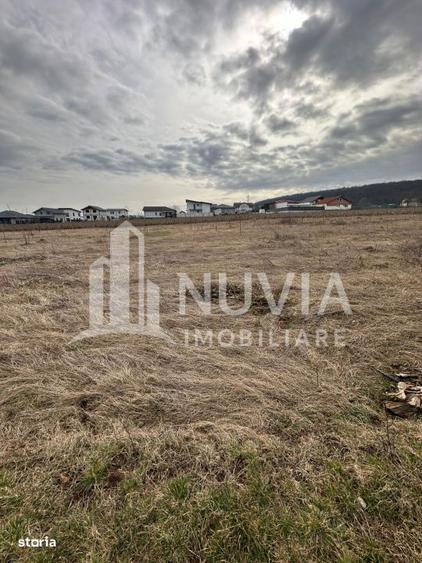 Teren intravilan cu AUTORIZATIE DE CONTRUCTIE, zona Penny Micesti, 550 - 1