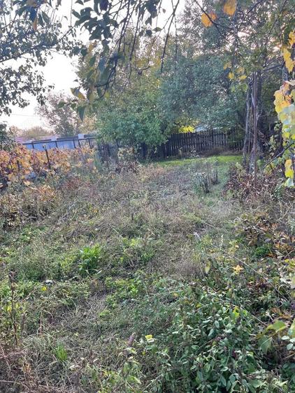 Galbinasi - jud. Calarasi, casa vanzare - 10