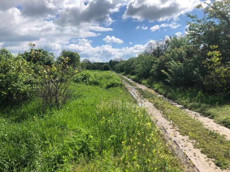 Teren arabil 7400 mp in Zamfira langa Ploiesti - 3