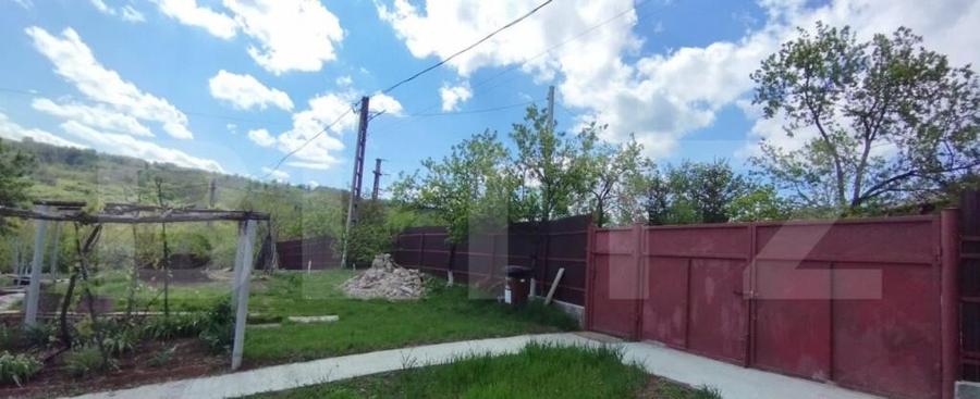 Casa+ casa vacanta, 2200 mp livada, Schitu-Duca - 9