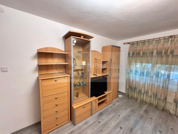 Apartament o camera - Gradinari - Tudor Vladimirescu