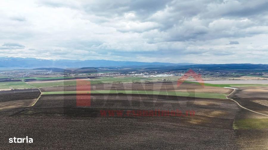 Ocazie | Teren 50.400 mp | Sura Mica | Investitie / dezvoltare |VIDEO - 6