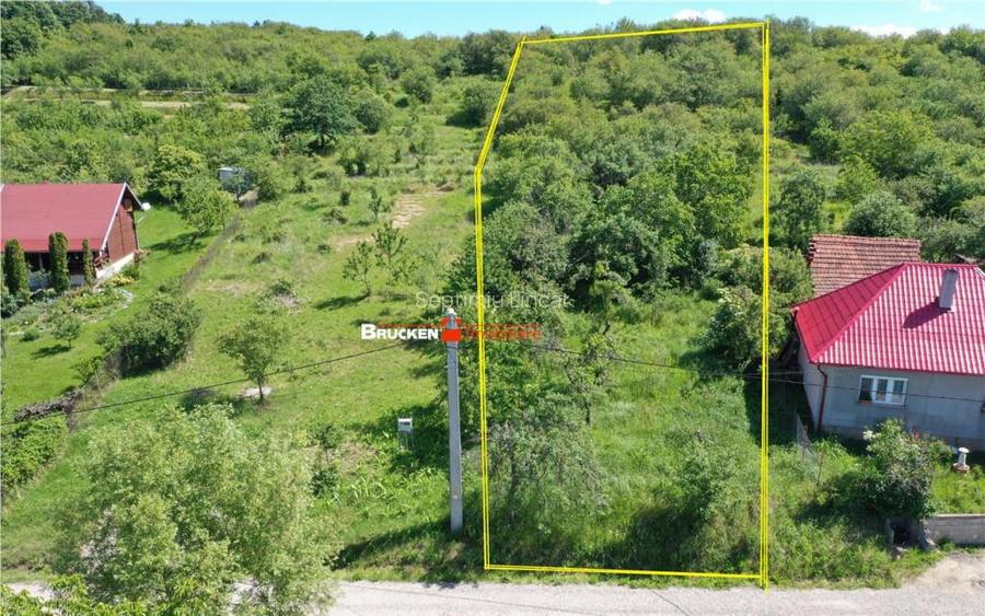 TEREN PENTRU CONSTRUCTIE REZIDENTIALA | 2878 MP | PODGORIA TEREN PENTRU CONSTRUCTIE REZIDENTIALA | 2878 MP | PODGORIA