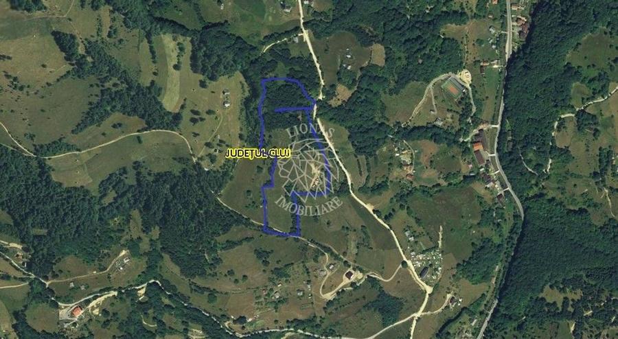 Teren extravilan investiție Rachitele Cluj - 31.555 mp - 8