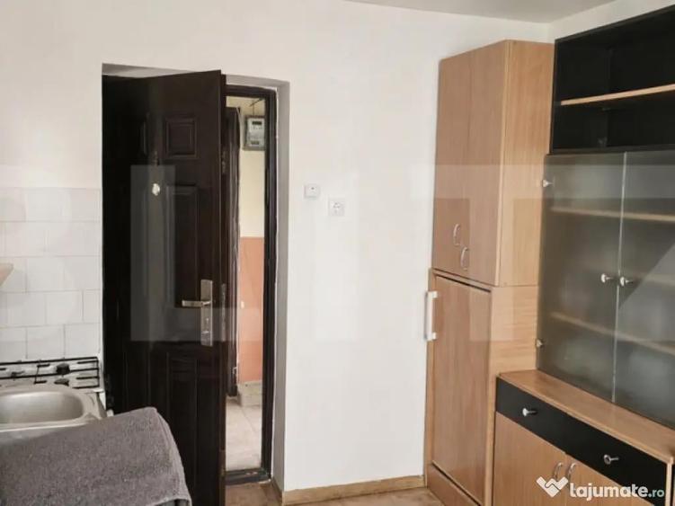 Micro-garsoniera, 12 mp, zona Take Ionescu - 1