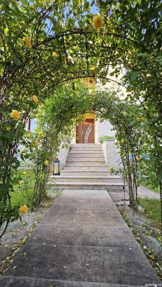 Proprietar inchiriez Casa SMART + Spa?iu Comercial Autorizat productie - 3