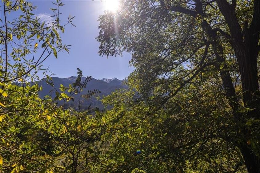 FILM! Edificu remarcabil, deschidere oportunitate de customizare - 7