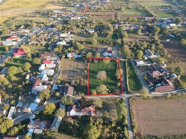 TEREN DE VANZARE BOLOTESTI - 5