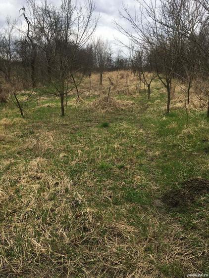 Casa in Tirol, jud. Cara?-Severin - 2