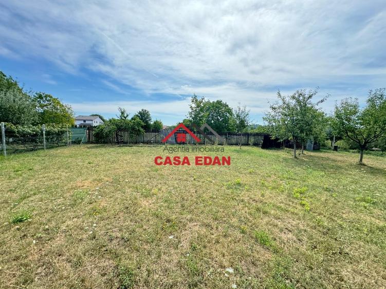 ●Teren in Campina--920mp--28.000e● - 5