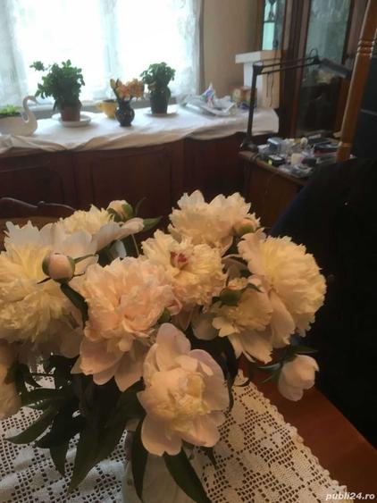 Apartament de vanzare - etajul unei case - 5