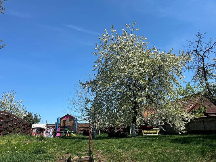 De vânzare casă unifamilială Dâmbul Rotund - 2