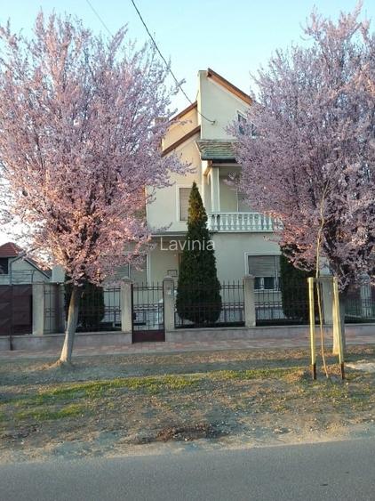 🏡 Casă solidă, spațioasă și versatilă în zona centrală, Sânnicolau Mare